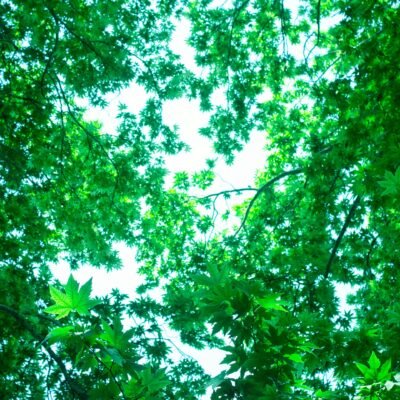 TUTTO BIO GREEN LINE